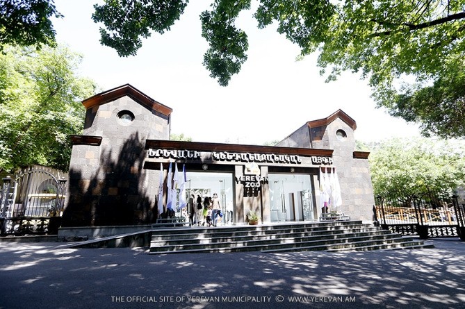 Yerevan zooparkının əməkdaşları etiraz aksiyası keçirib