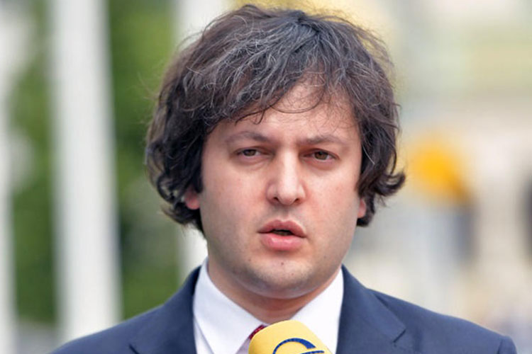 Gürcüstanın parlament sədri istefa verib