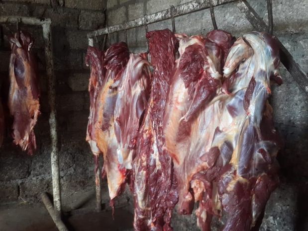 Xaçmazda istifadəyə yararsız at əti aşkarlandı – FOTO
