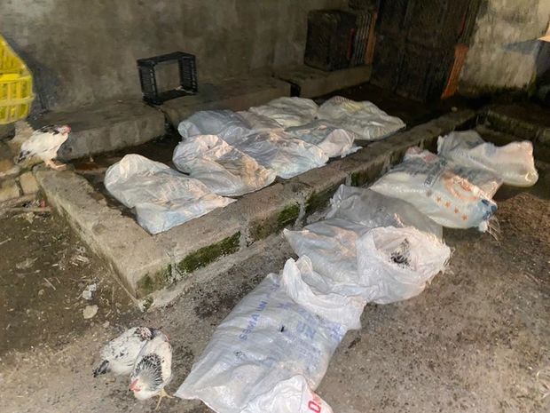 Bakıda daha bir sexdə iyrənc mənzərə: Müəssisə bağlandı – FOTO