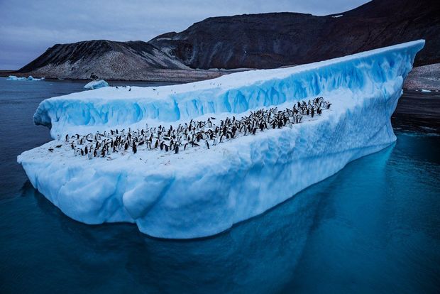 Qlobal istiləşmə nəticəsində Antarktidada yeni ada yarandı