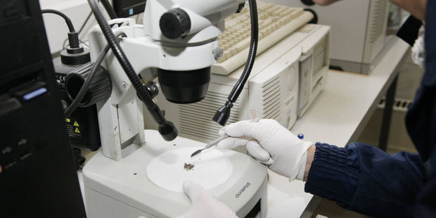 İranda 33 milyon insan koronavirus testindən keçirildi