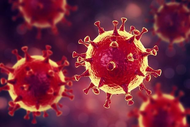 Avstraliyalı alimlər: Koronavirusu 48 saat içində məhv edən dərman tapmışıq