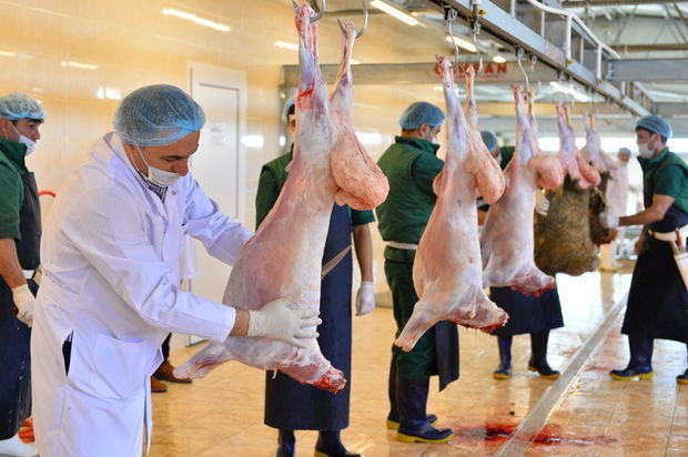Bakıda yalnız bu ünvanlarda heyvan kəsməyə icazə verilir – SİYAHI